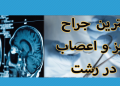 بهترین دکتر مغز و اعصاب در رشت